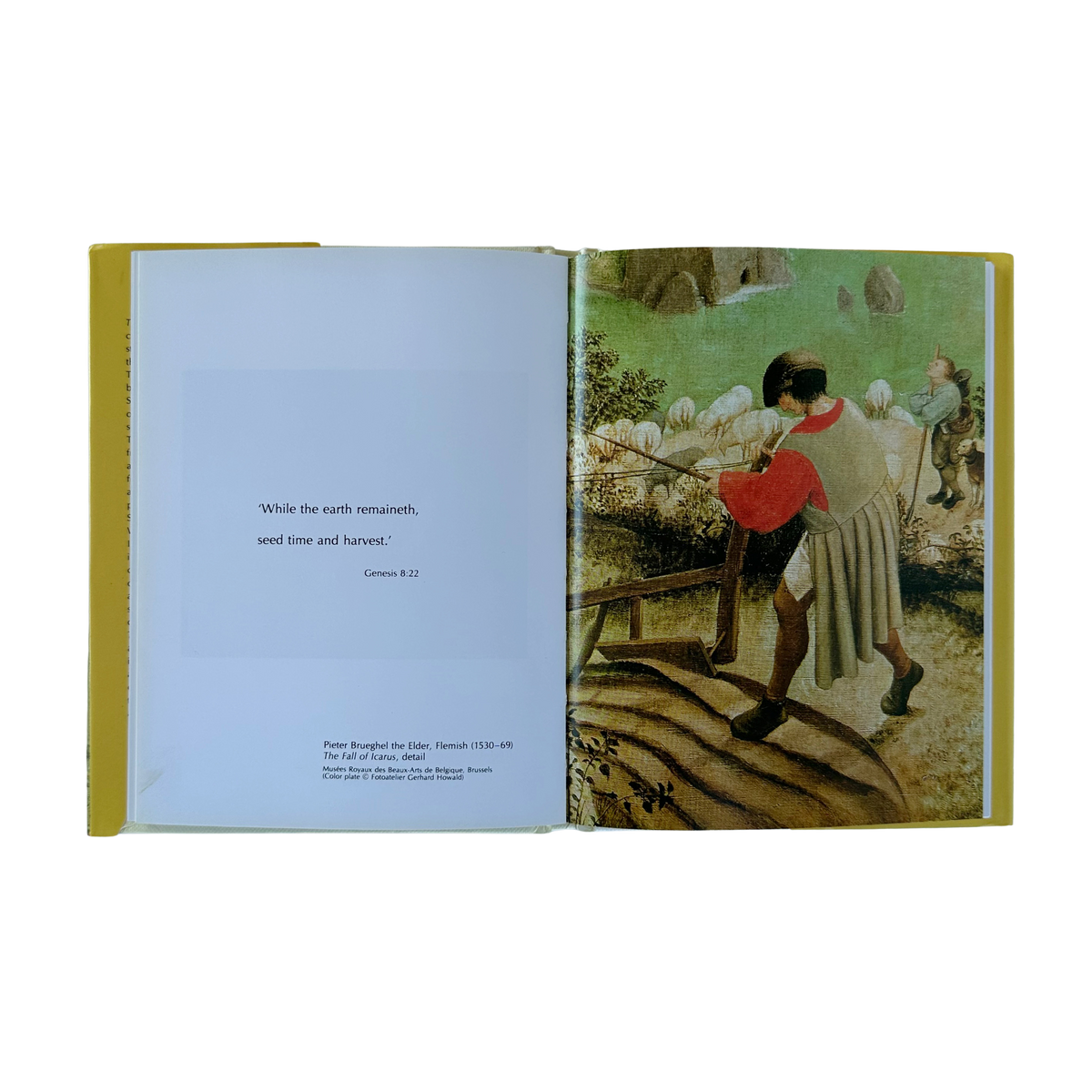 The Quiet Eye | A Way of Looking at Pictures
