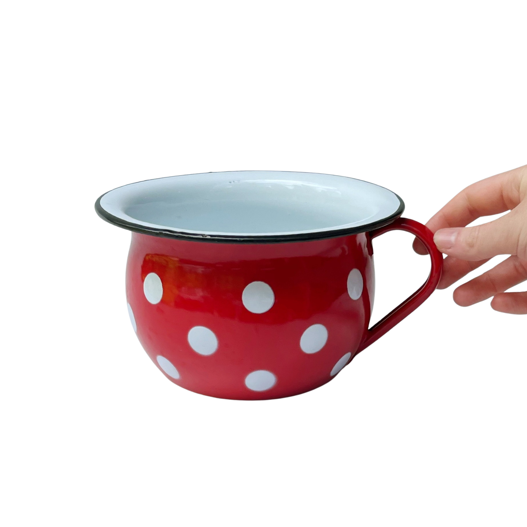 Vintage Slovenian Enamelware Bowl