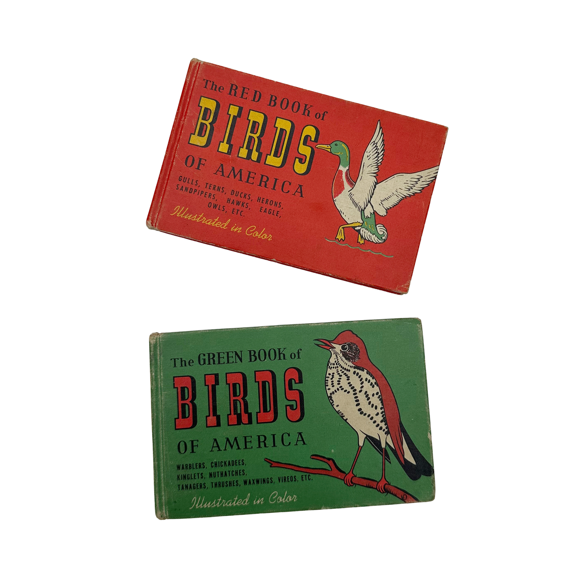 Birds of America Books (Set of 2)