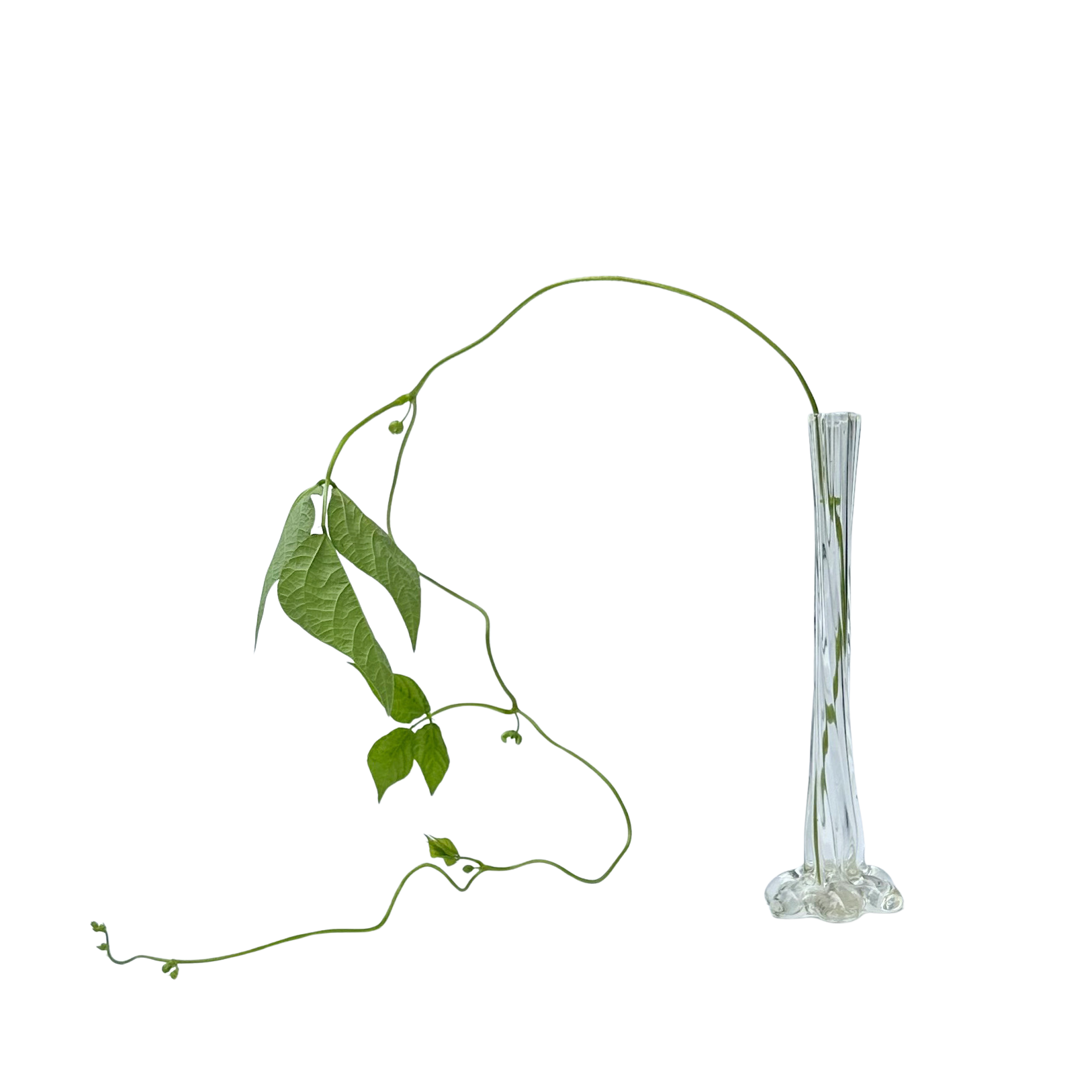 Vintage Handblown Long Stem Vase