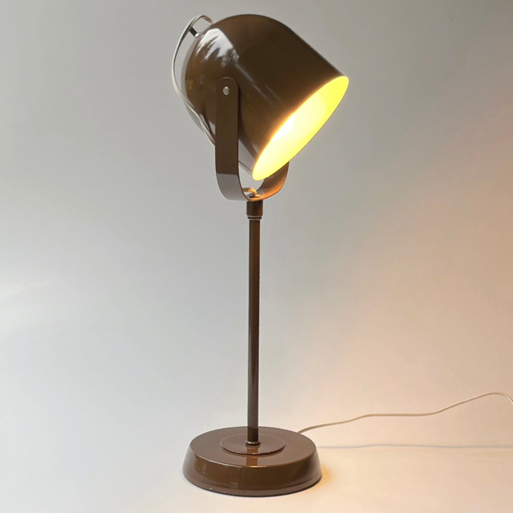 Vintage Brown Metal Task Lamp