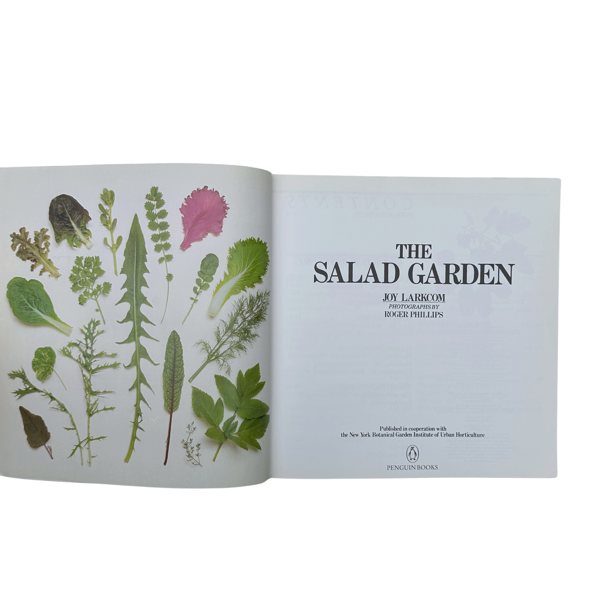Salad Garden Book