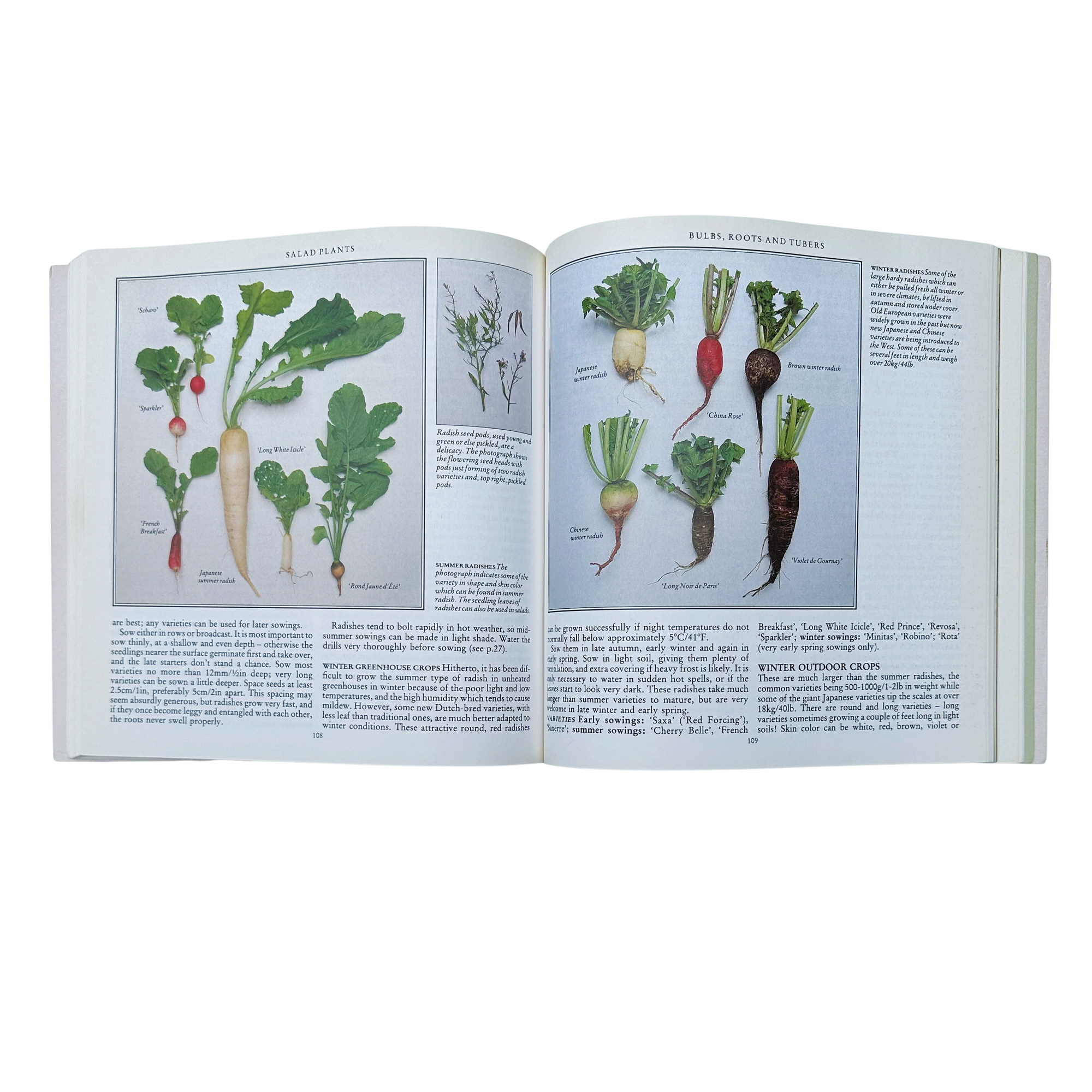 Salad Garden Book
