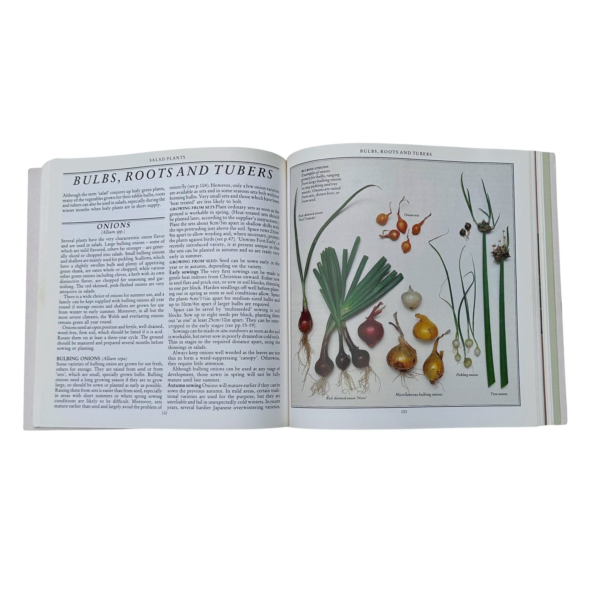 Salad Garden Book
