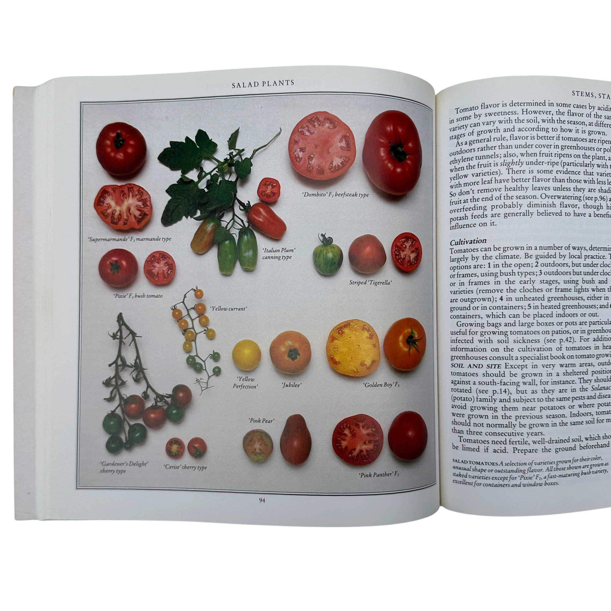 Salad Garden Book