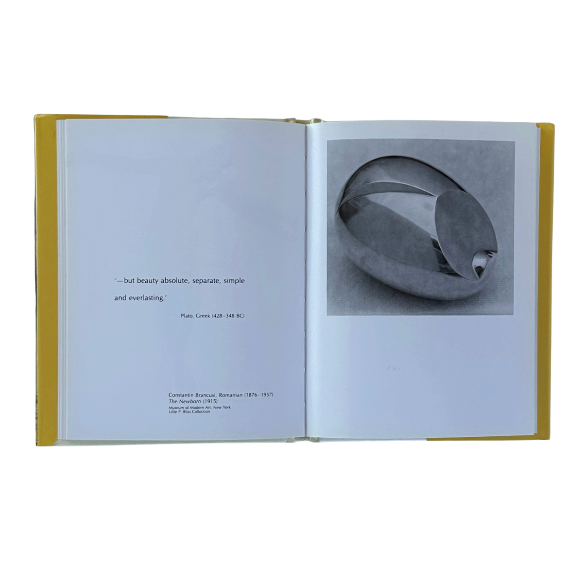 The Quiet Eye | A Way of Looking at Pictures