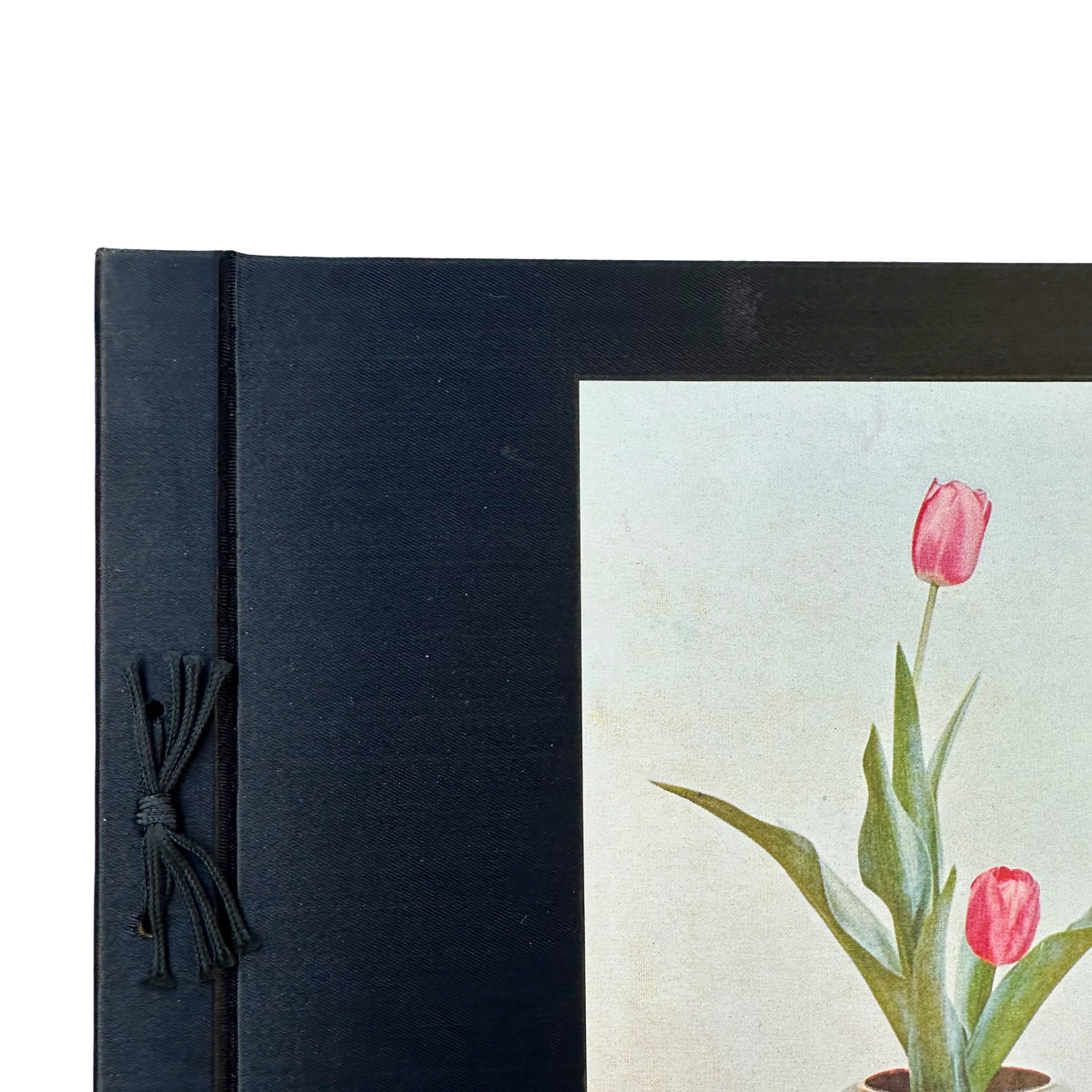 Stepping Stones to Japanese Floral Art