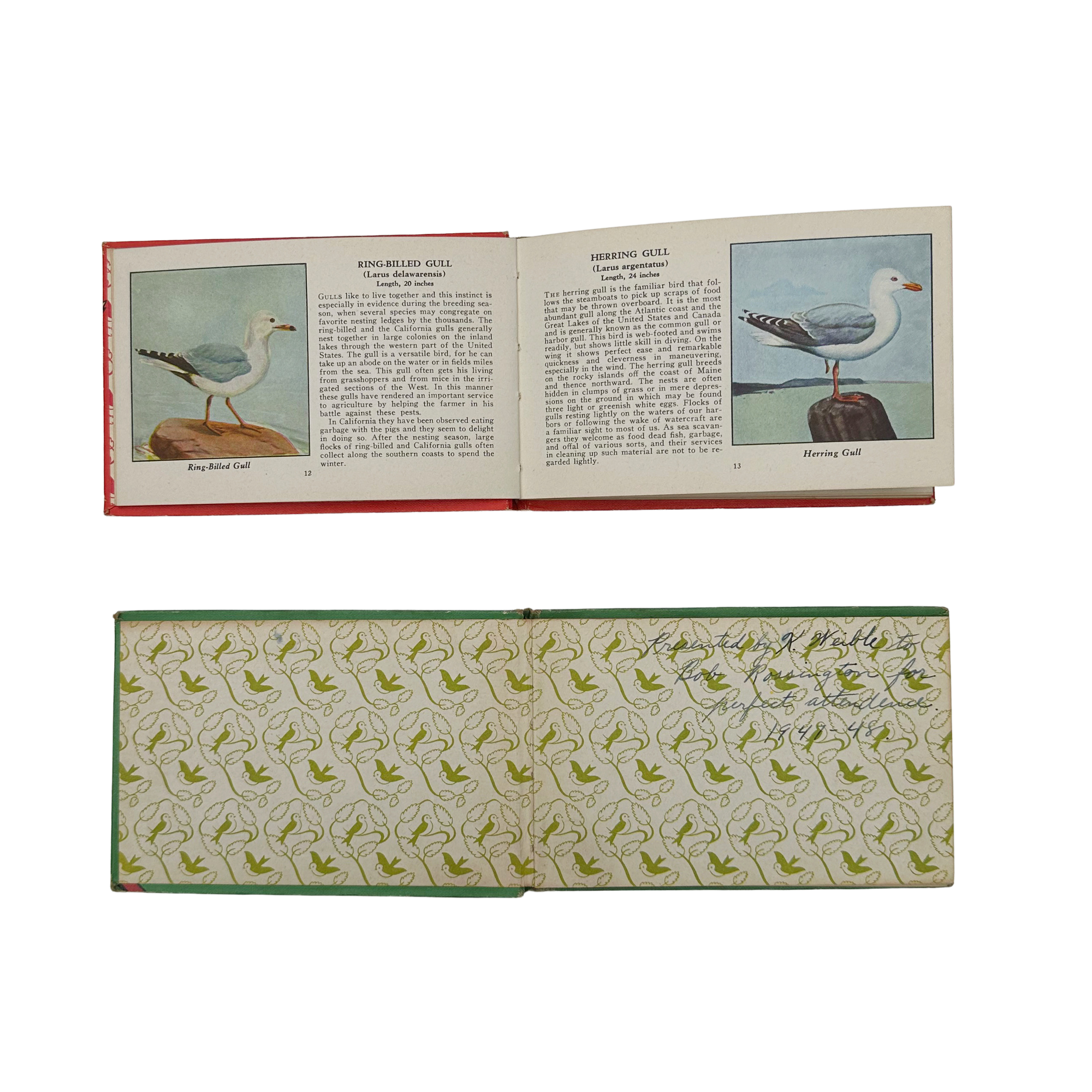Birds of America Books (Set of 2)