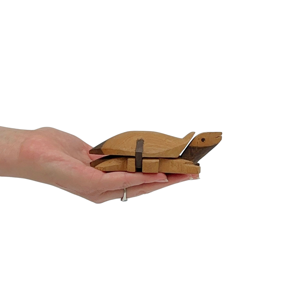 Handcarved Turtle Trinket Box