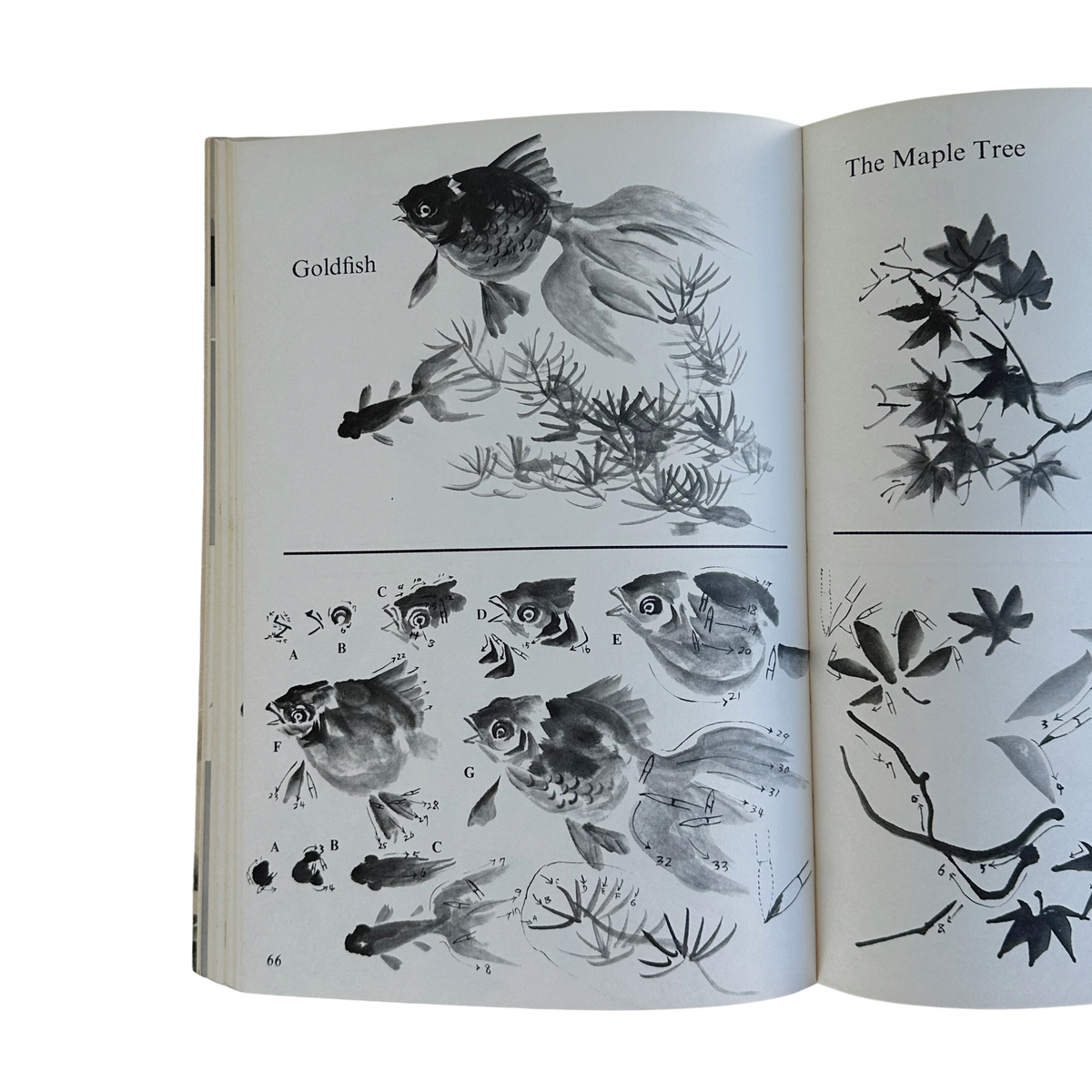 Sumi - e | Self - Taught