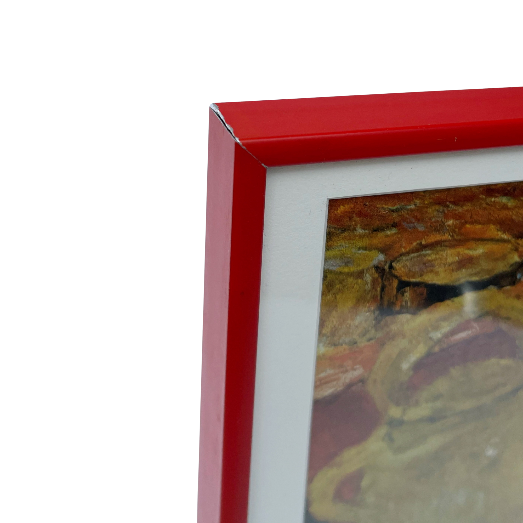 Pierre Bonnard Print in Frame