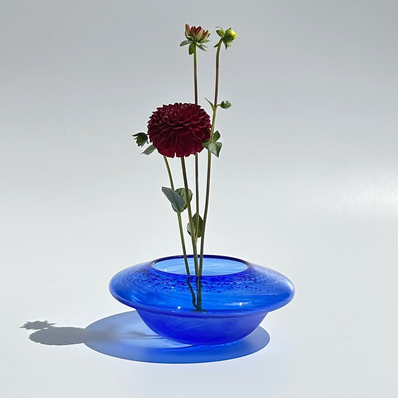 Cobalt Hand Blown Glass Shallow Vessel